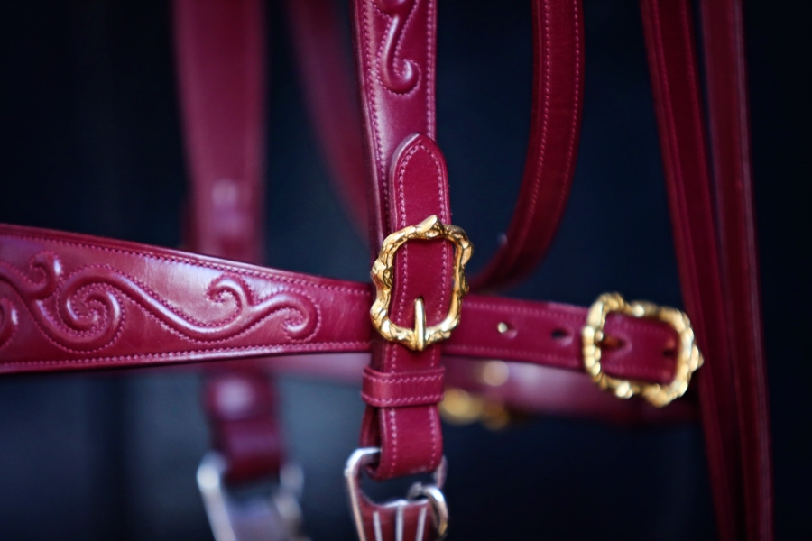 Advanced Bridle