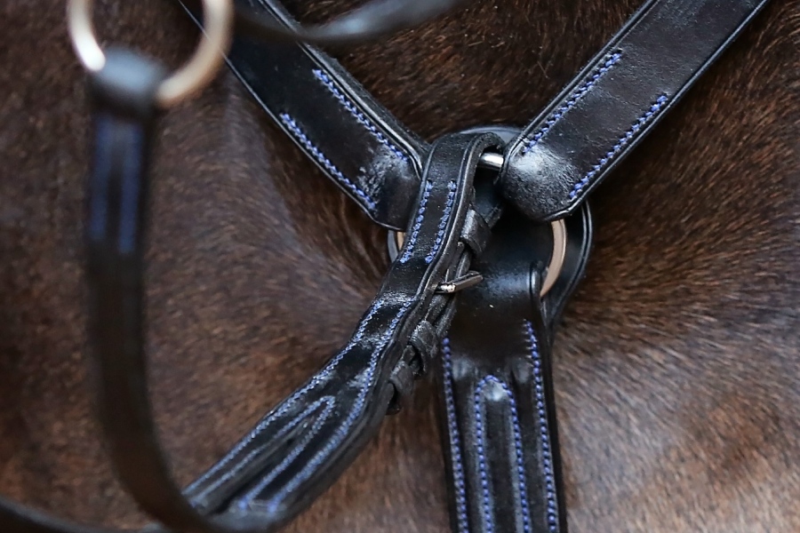 Advanced Bridle