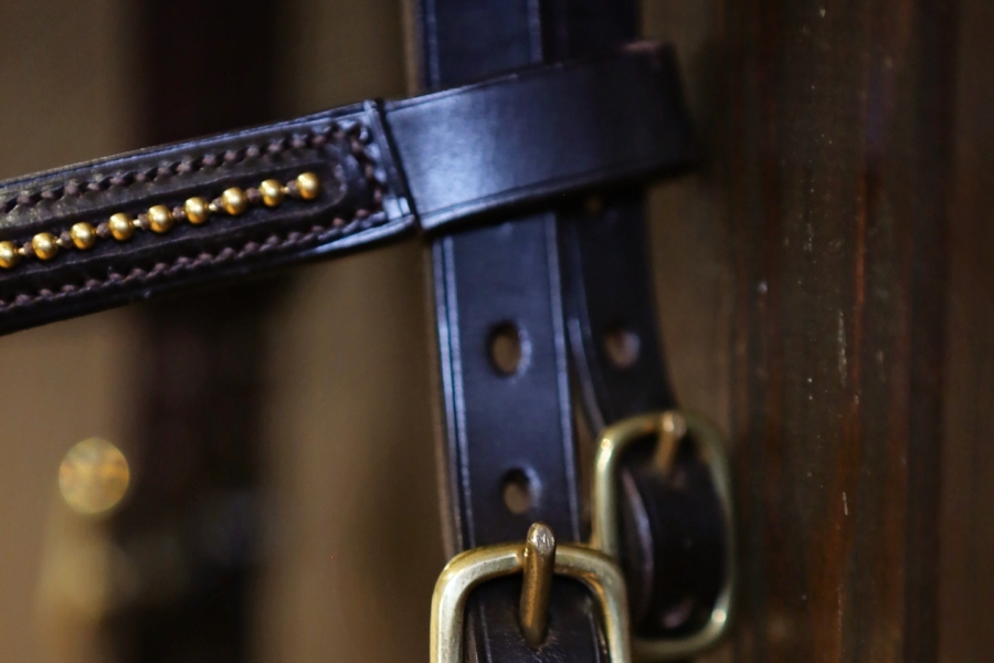 Advanced Bridle