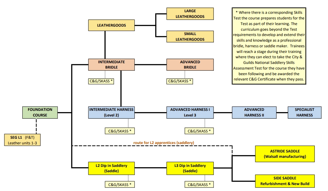 Training Pathway  