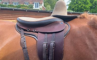 Introduction to Side Saddle Building: Crafting a Timeless Tradition