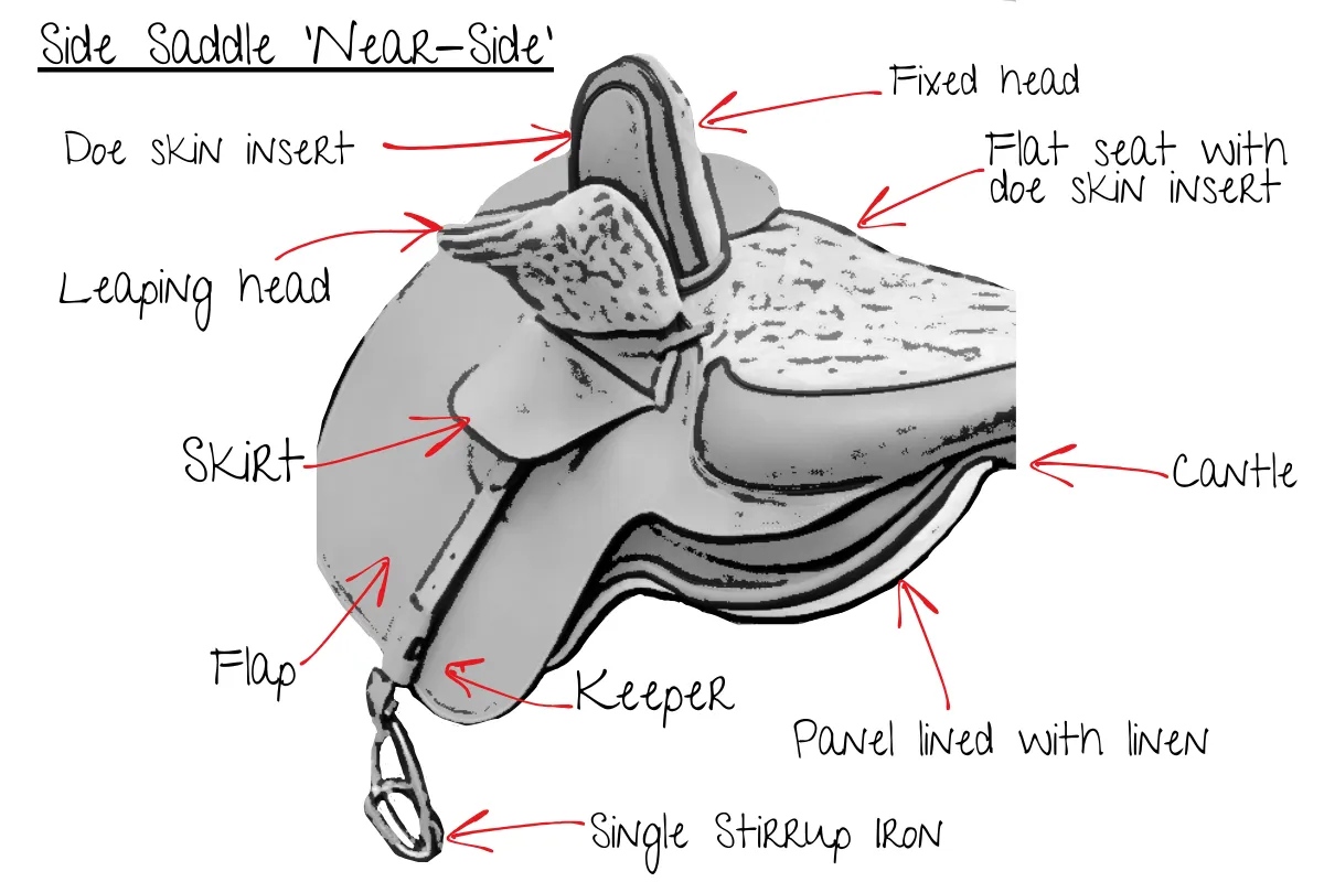 Here is a diagram of a side-saddle. It appears to be sketched and identifies the following features with red arrows to the correct parts: flat seat with doe skin insert, leaping head, fixed head, does skin insert, cantle, linen lined panel, long girth straps, flap, skirt, keeper and single stirrup iron and cantle. There is a title at the top which states ‘Side Saddle Near-Side’