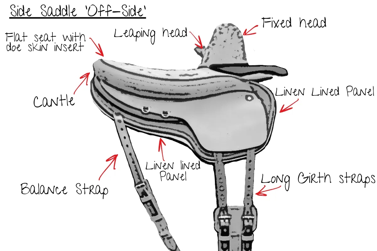 Here is a diagram of a side-saddle. It appears to be sketched and identifies the following features with red arrows to the correct parts: flat seat with doe skin insert, leaping head, fixed head, cantle, linen lined panel, long girth straps, balance strap and cantle. There is a title at the top which states ‘Side Saddle Off-Side’