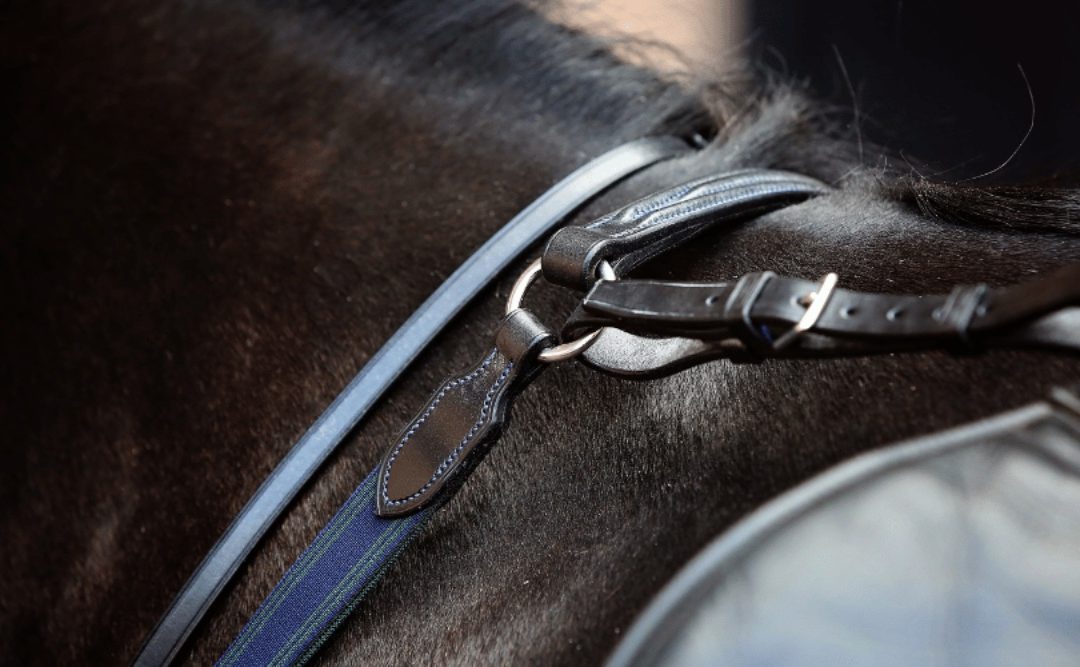 Walsall Leather Skills Centre Becomes an Official Test Centre for Saddlery Qualifications